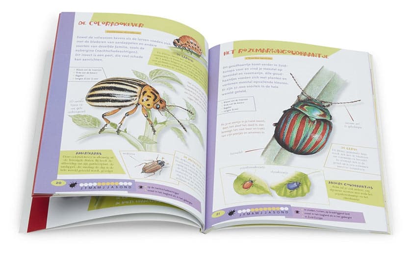 De leukste insectengids voor kids